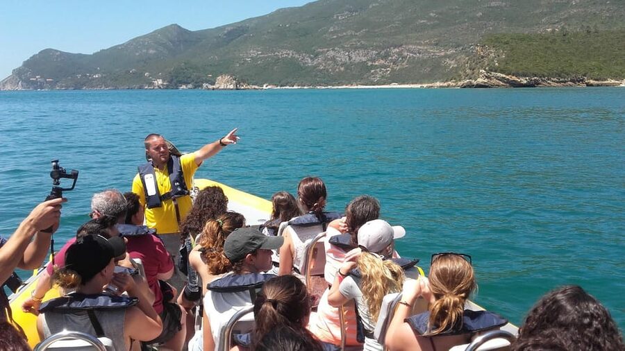 Setúbal and Tróia: Dolphin Watching and Arrábida Bays - Arrábida bays route: beaches, caves, and a careful coast tour