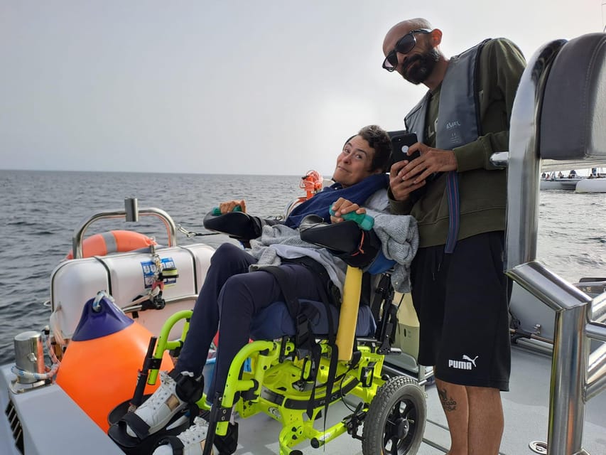 Setúbal and Tróia: Dolphin Watching and Arrábida Bays - Price and value: how $53 stacks up for dolphin plus Arrábida bays
