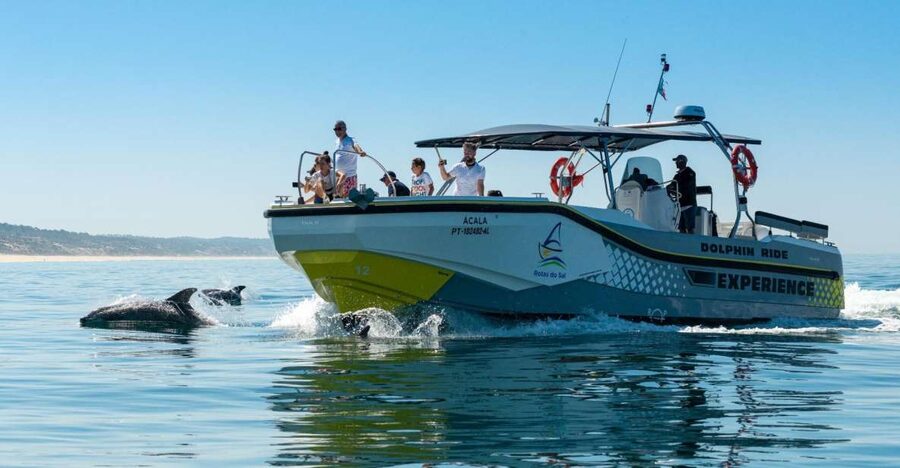Setúbal: Dolphin-Watching Boat Tour - How the dolphin search really works: close sightings and flexibility