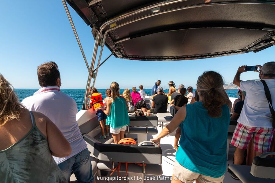 Setúbal: Dolphin Watching Boat Tour - Views of the Arrábida Coast: Photos, Photo Stops, and Time to Look