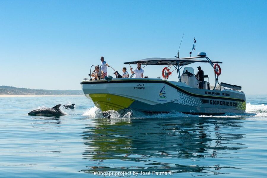 Setúbal: Dolphin-Watching Boat Tour - Arrabida coast stops: turquoise beaches, cliffs, and a possible summer swim
