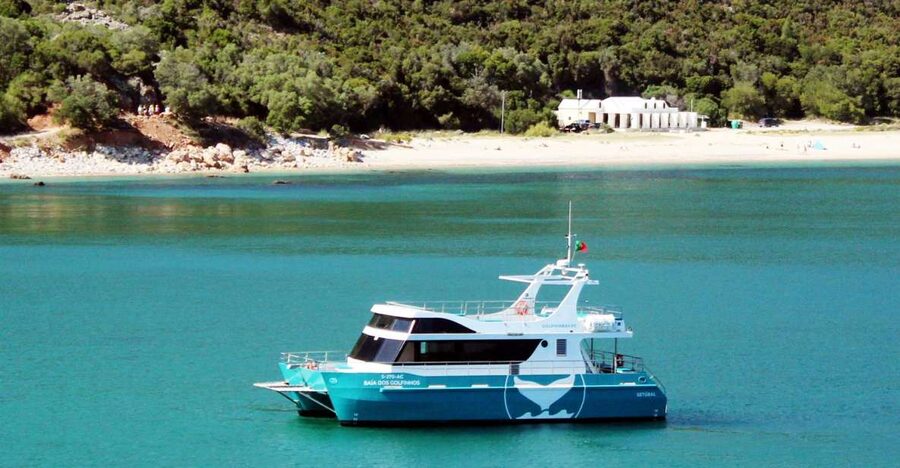 Setúbal: Dolphin Watching Tour - Setúbal catamaran start: finding the yellow clock tower dock