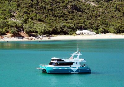 Dolphin Watching Tour