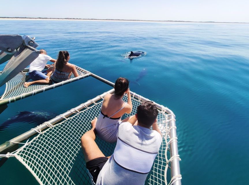 Setúbal: Dolphin Watching Tour - Price and value: is $53 per person worth it?