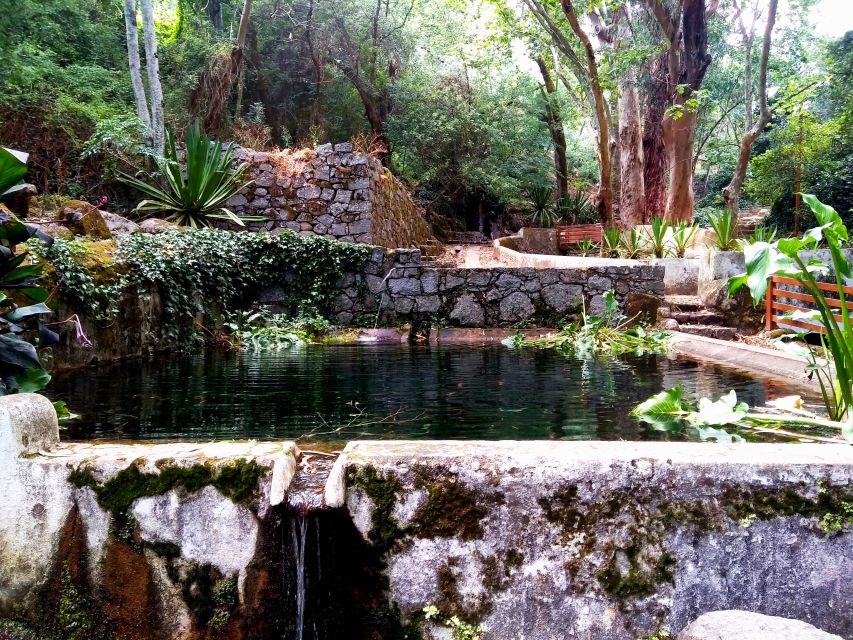 Silves, Caldas and Monchique Wine Tasting: Full Day Tour - Should You Book This Silves-Monchique-Fóia Wine Tour?