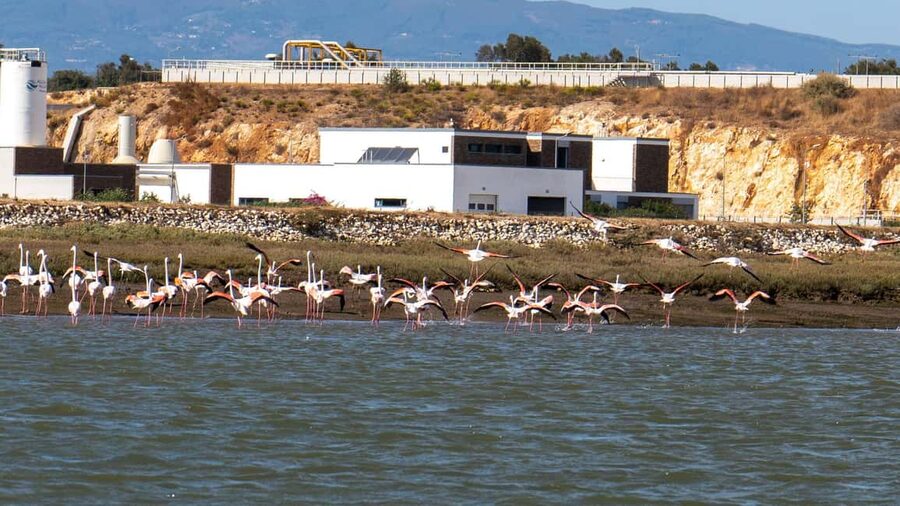 Silves History - Nature Boat Tour - free drink and Port wine - Who should book this boat tour from Ferragudo?