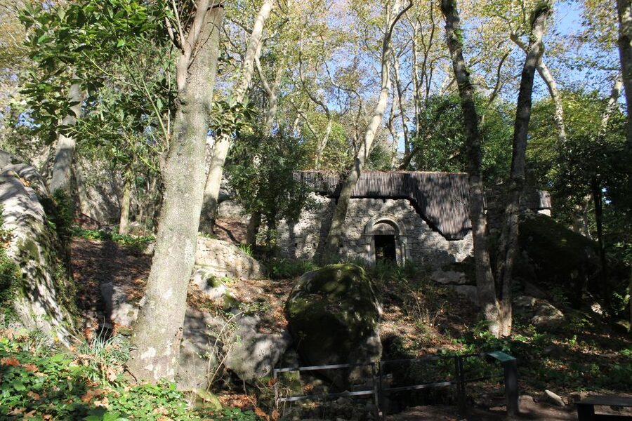 Sintra and Cascais: Full-Day Private Sightseeing Tour - The drive through Sintra National Park