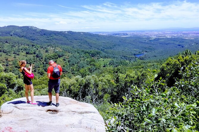 Sintra & Cascais de E-Bike Tour - Stop 3: Sintra Natural Park, trees, and big viewpoints without the museum pace