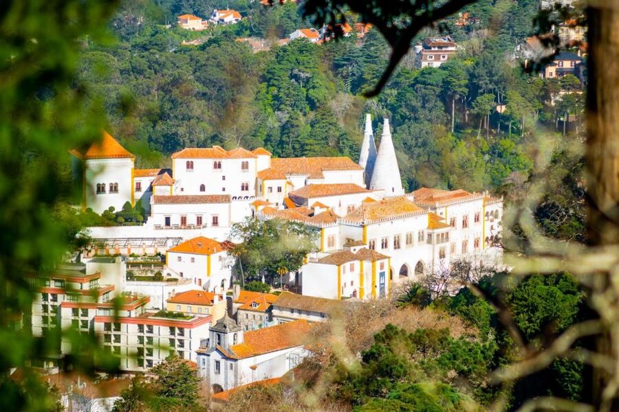 Sintra: Full-Day Private Tour & Pena Palace Entry Option - Monserrate Palace: the short stop with strong visual payoff