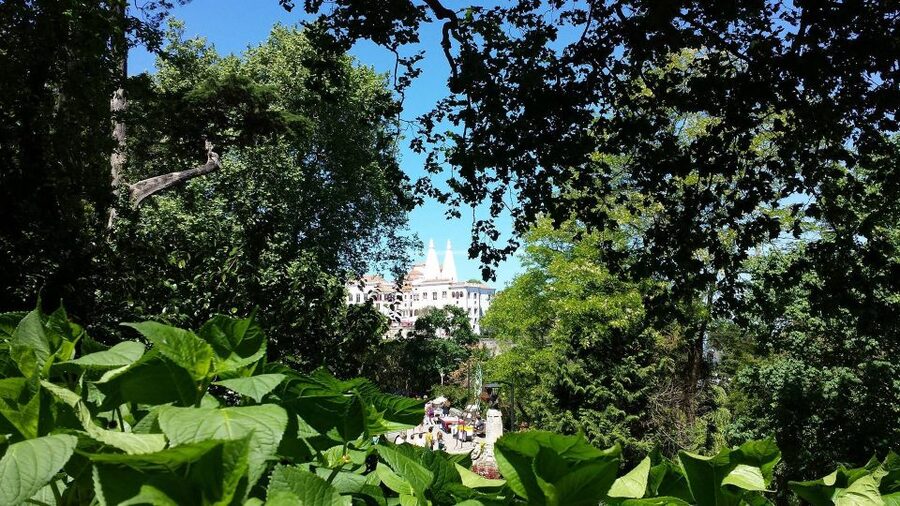 Sintra: Full-Day Tour from Lisbon with Wine Tasting - One day that links castles, cliffs, and wine