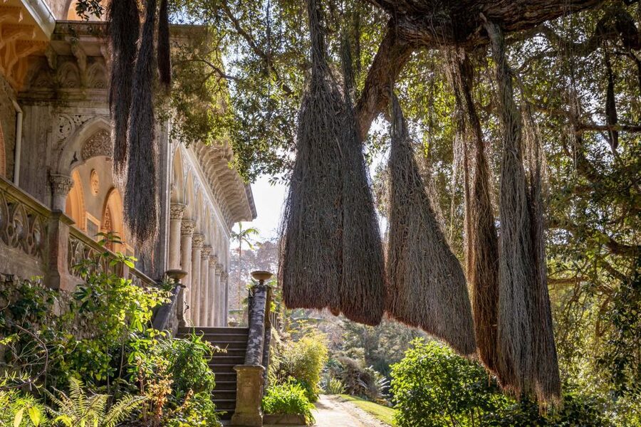 Sintra: Monserrate Palace & Park Ticket - Key things I’d bookmark before you go
