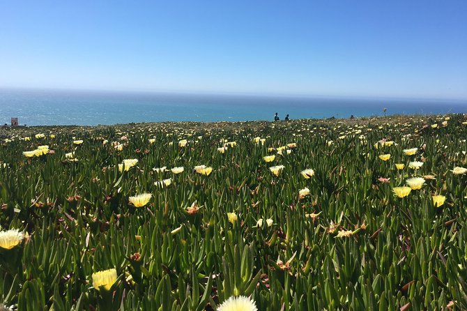 Sintra Tour with Pena Palace and Regaleira All Tickets Included - Cabo da Roca: The Edge of Europe Stop That Feels Like a Reset