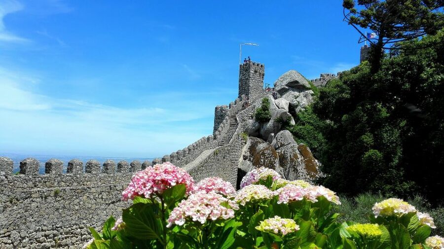 Sintra: Truly Private Tour to Pena Palace & Regaleira - What is included, what you pay for, and how the price pencils out