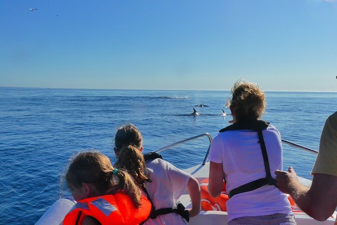 Small Group Dolphin and Wildlife Watching Tour in Faro - Ria Formosa Natural Park to Open Water, Your Search Zone