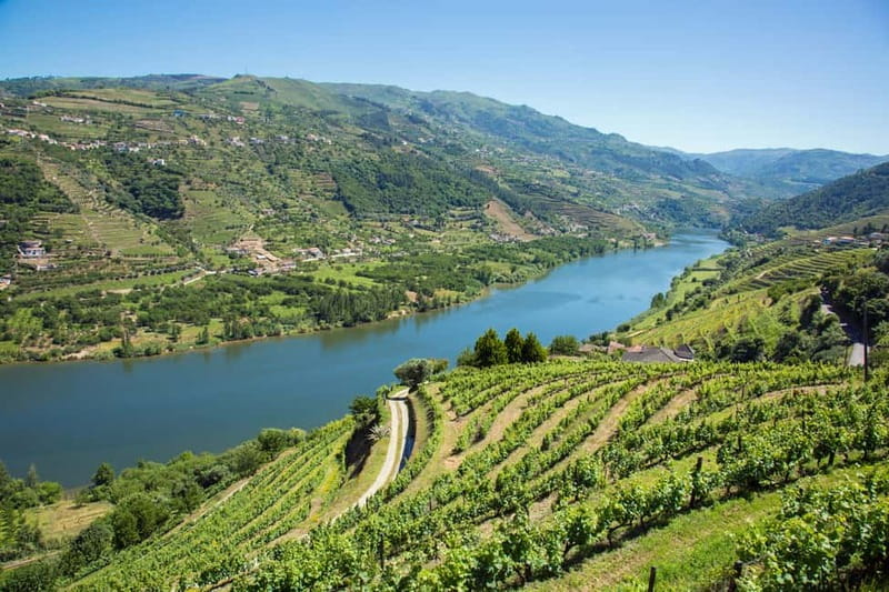 Small Group: Douro Valley Wine Tasting from Porto - Why This Douro Valley Wine Day Feels Worth the Time