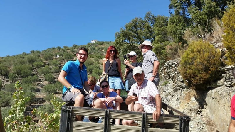 Small Group: Douro Valley Wine Tasting from Porto - The Prestigious Port Wine Winery Tasting