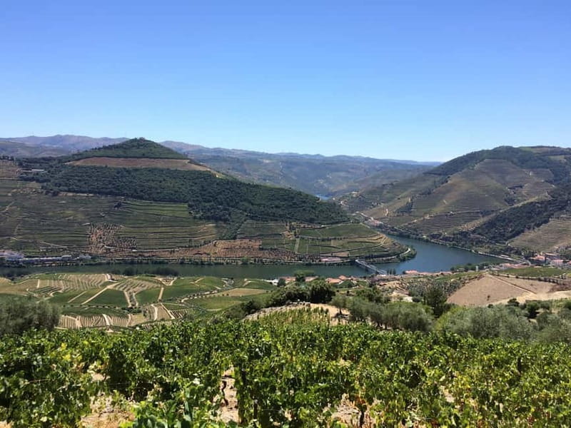 Small Group: Douro Valley Wine Tasting from Porto - The Douro Boat Cruise: When the Valley Makes Sense