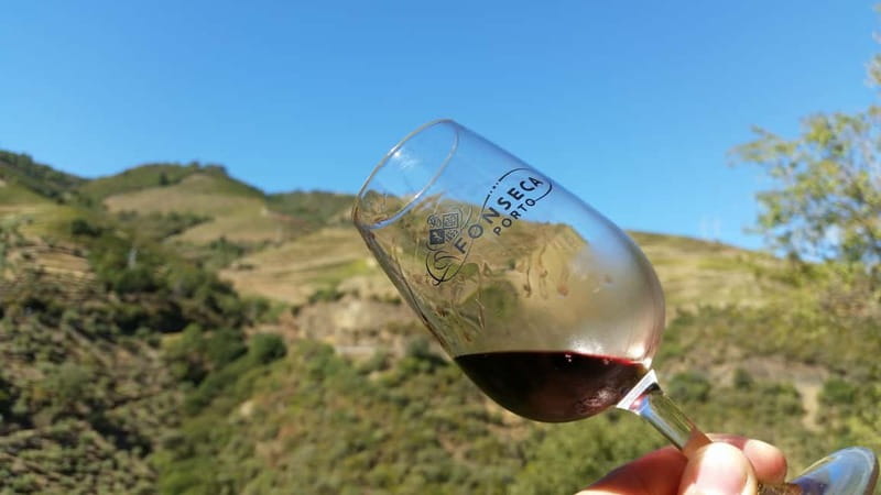 Small Group: Douro Valley Wine Tasting from Porto - Small Group Size: The Real Benefit You Feel During the Day