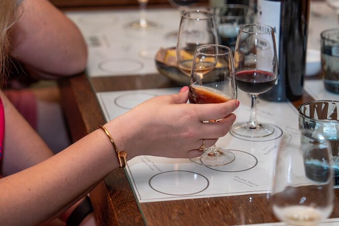 Small Group Douro Valley Wine Tour with Lunch and Cruise - Porto to the Douro in one smooth morning