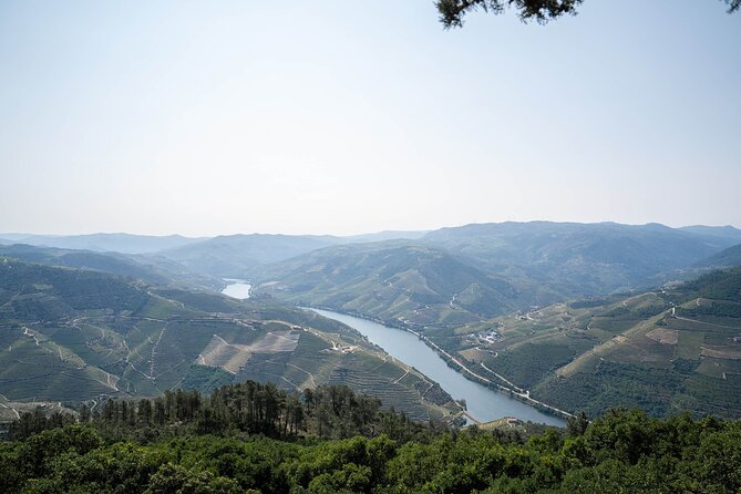 Small Group Douro Valley Wine Tour with Lunch and Cruise - Lunch at the estate: the best reason to skip doing it yourself