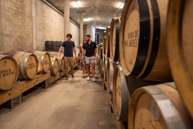 Small Group Douro Valley Wine Tour with Lunch and Cruise - Douro River cruise from Pinhão: let the scenery do the job