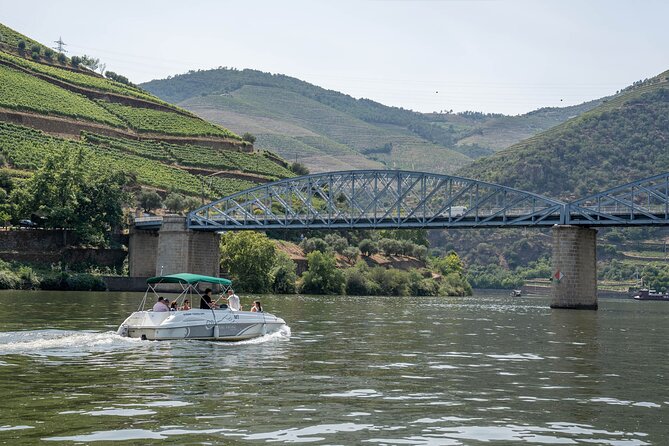 Small Group Douro Valley Wine Tour with Lunch and Cruise - Amarante stop: a quick river-town break with real charm