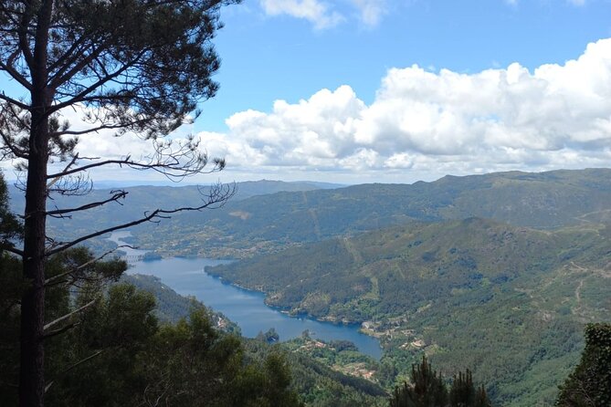 Small Group Geres National Park Full Day with picnic from Porto - Picnic Lunch in the Park: Eating Local Without the Ceremony