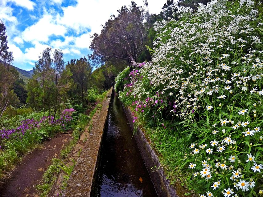 Small Group Walks Rabaçal 25 Fontes - Who this hike suits best (and who might want a different plan)