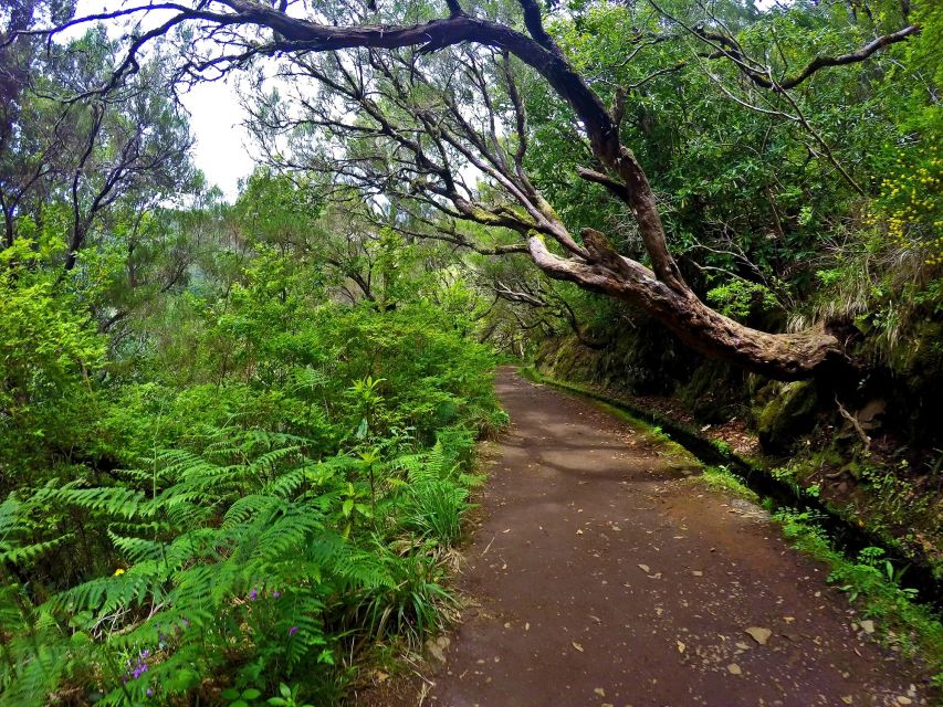 Small Group Walks Rabaçal 25 Fontes - The 25 springs lagoon and waterfall: what to watch for at the end
