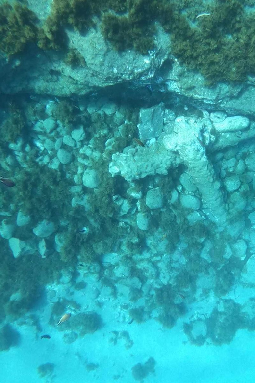 Snorkeling Tour- Vila Franca do Campo Islet - Key things I’d plan around