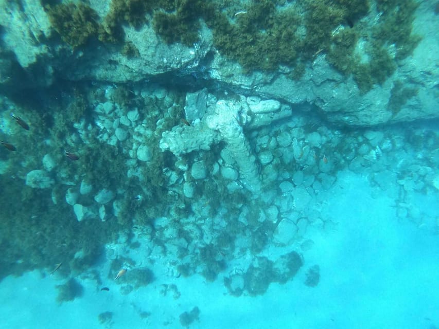 Snorkeling Tour- Vila Franca do Campo Islet - Snorkeling on volcanic rocks: what you’ll likely see