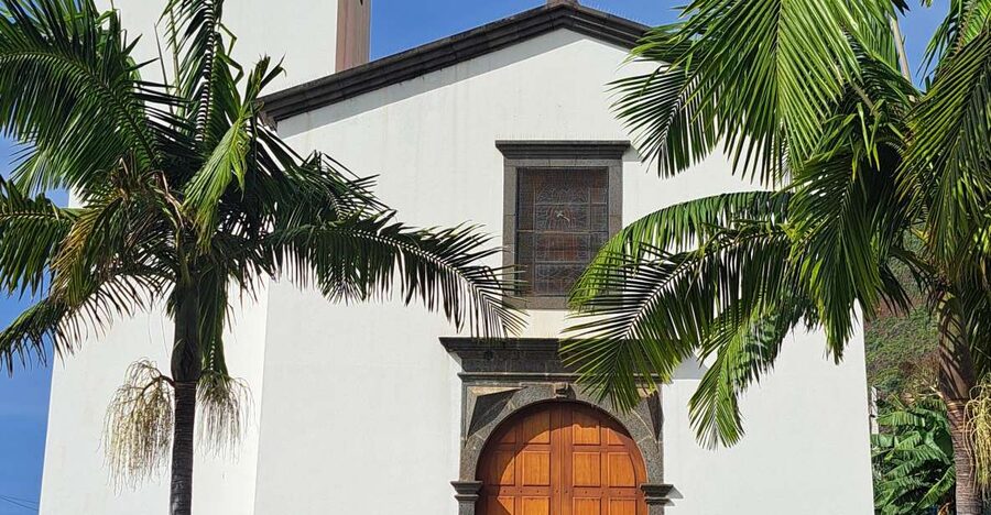 South Madeira: breathtaking coastal trip incl. Porto Moniz. - Madalena do Mar banana plantation walk, a shady breather