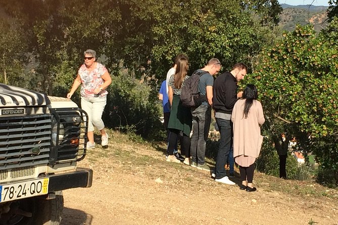 Sunset Safari - Group Size, Guides Like Carla, and How to Get the Best Seat