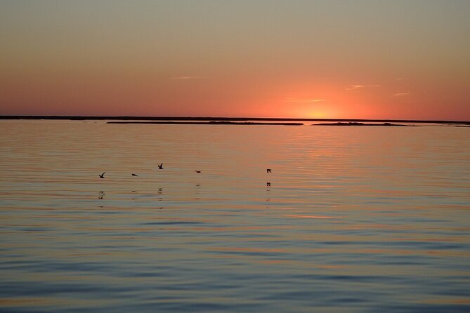 Sunset Tour | Ria Formosa - From Faro - Meeting Point at Cais das Portas do Mar, and Getting Oriented in Faro