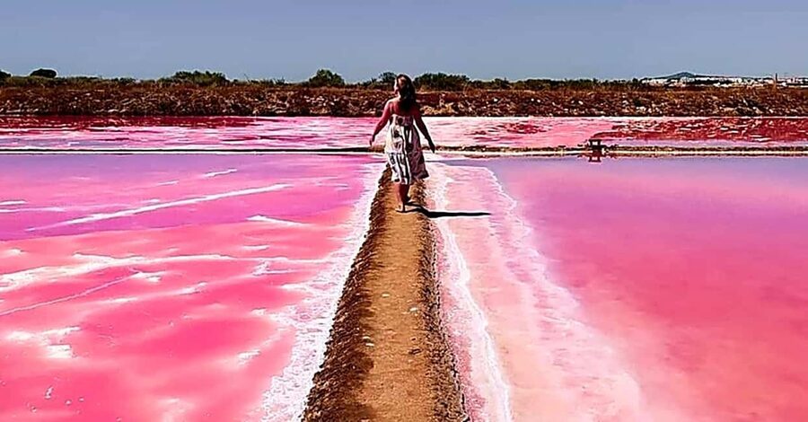 Tavira: 4x4 Jeep Adventure, Salt Pink Pans & Hidden Nature - From Your Door in Tavira to a Real Open-Top 4x4