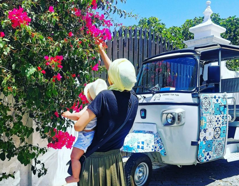 Tavira: Tuk-Tuk City Tour - Key Highlights I’d Plan Around