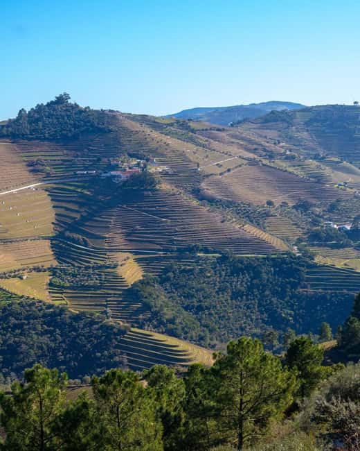 The Douro Valley Tour – Late Start Experience - Pricing and value: what $88 buys when tastings and a boat are included