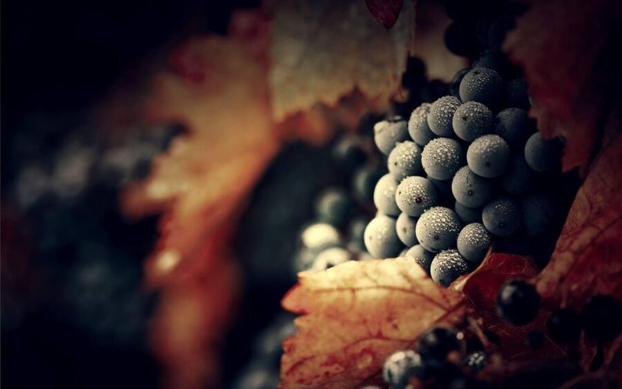 The Douro Valley Tour – Late Start Experience - The Douro Valley late start, and why it can fit real travel days