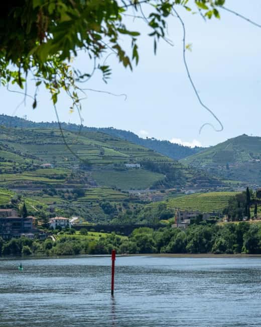 The Douro Valley Tour – Late Start Experience - Second guided tasting in Pinhão: another style, another story