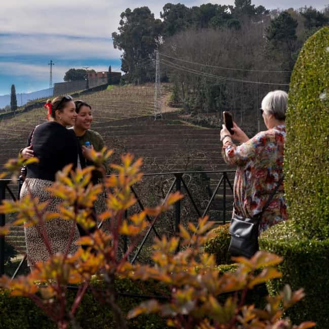 The Douro Valley Tour – Late Start Experience - Transport, onboard Wi-Fi, and how to make the day feel easy