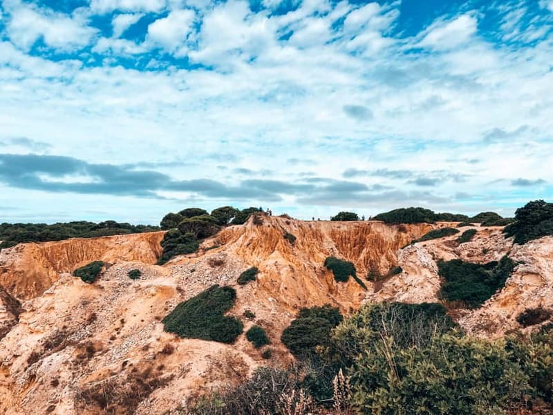 The Original 7 Hanging Valleys Guided Hike With Pickup - Pace, terrain, and what to bring for a comfortable 4.5-hour coastal day
