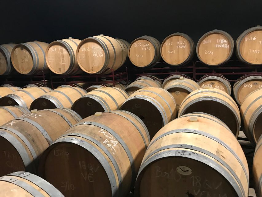 The Real Algarve: 2 Boutique Wineries & Silves Tour - Key highlights worth planning around