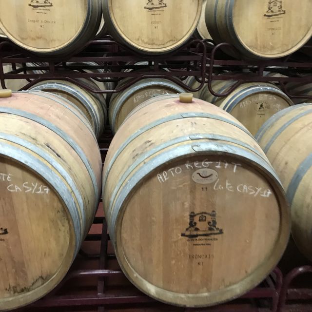 The Real Algarve: 2 Boutique Wineries & Silves Tour - Lagoa estate time: guided visit plus tastings and pairing snacks