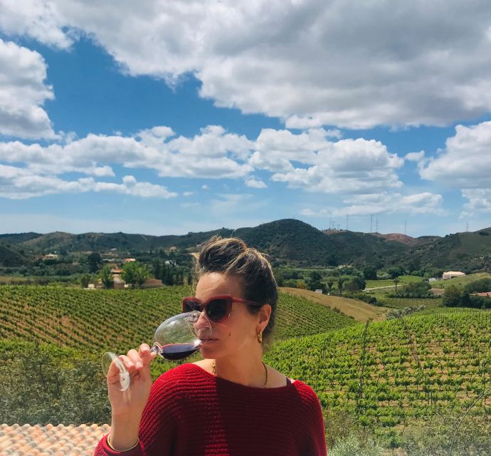The Real Algarve: 2 Boutique Wineries & Silves Tour - Price and value: what $106 buys you in the Algarve