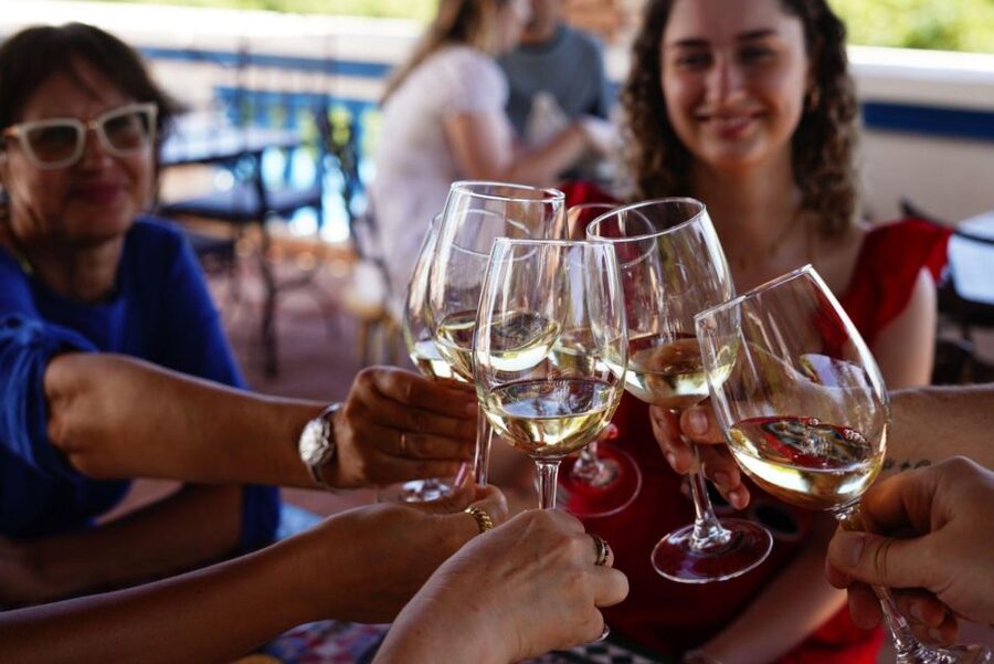 The Real Algarve: 2 Boutique Wineries & Silves Tour - Who this tour suits best