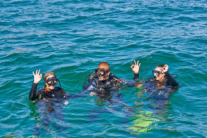 Try Dives - Discover Scuba Diving in Albufeira - Key Highlights You Should Actually Care About