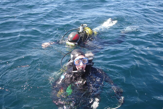 Try Dives - Discover Scuba Diving in Albufeira - The Boat Ride and What to Expect on the Coast