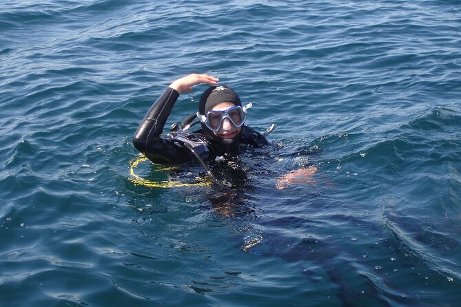 Try Dives - Discover Scuba Diving in Albufeira - Who This Intro Scuba Session Is Best For