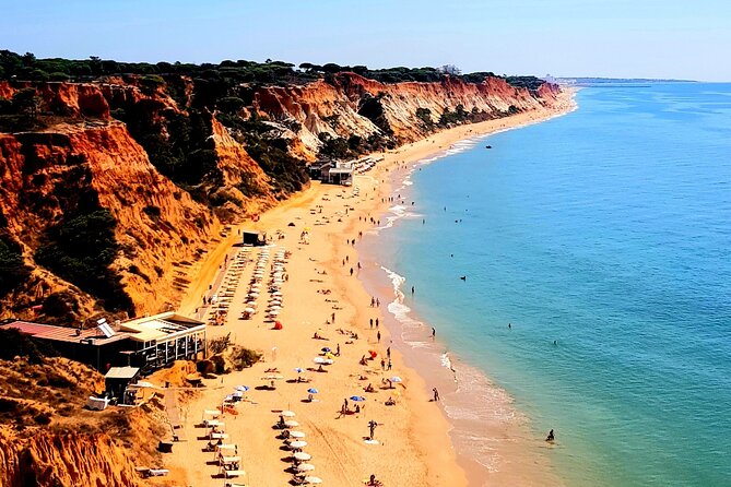 Tuk tuk tour- the best way to see coast and country side - Countryside roads, local customs, and the feel of everyday Portugal