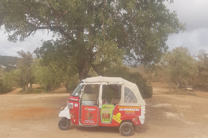 Tuk tuk tour- the best way to see coast and country side - Who should book this tuk tuk tour (and who might skip it)